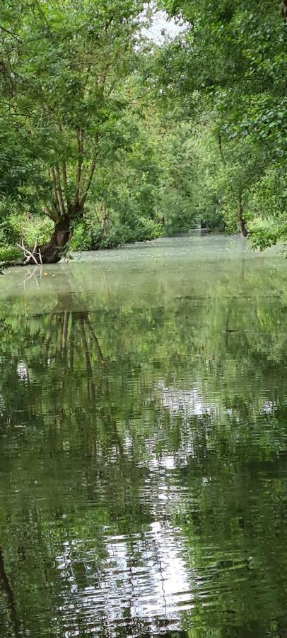 L'Enclos Bleu, Gite - Marais Poitevin Avec Piscine Chauffee Chaille-Les-Marais Kültér fotó